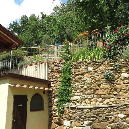 B&B Dal Brillante Seravezza Dış mekan fotoğraf