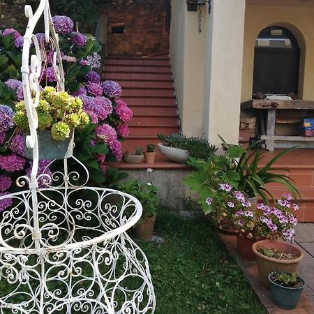 B&B Dal Brillante Seravezza Dış mekan fotoğraf