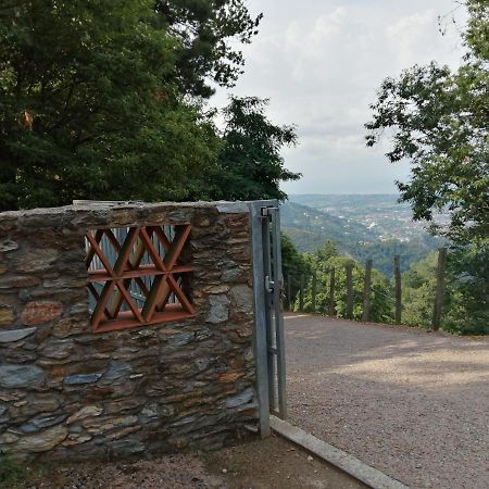 B&B Dal Brillante Seravezza Dış mekan fotoğraf