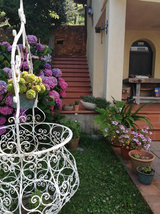 B&B Dal Brillante Seravezza Dış mekan fotoğraf
