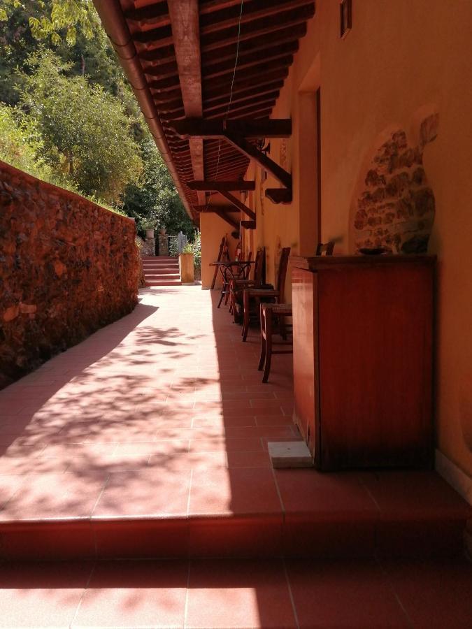 B&B Dal Brillante Seravezza Dış mekan fotoğraf
